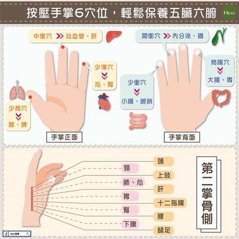 手指對應五臟|按壓手掌6穴位，輕鬆保養五臟六腑